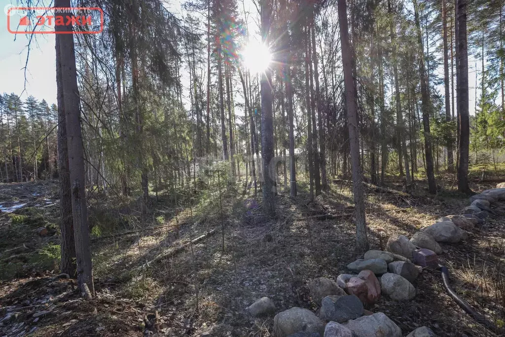 Участок в Шуйское сельское поселение, деревня Бесовец, жилой массив ... - Фото 2
