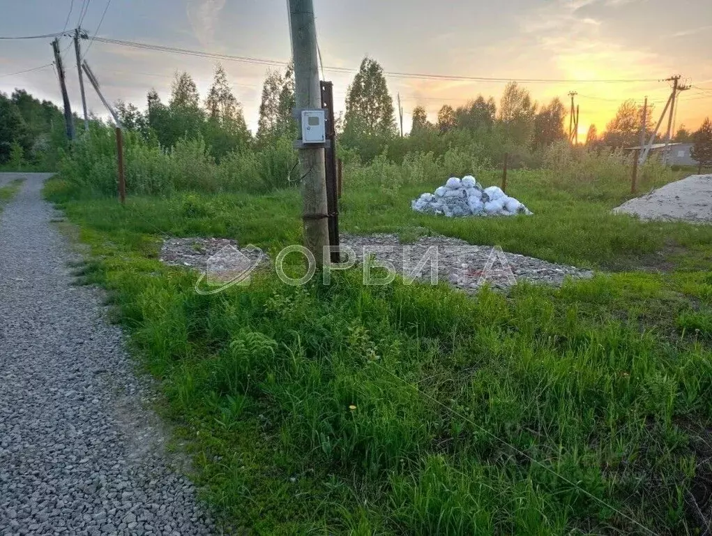 Участок в Тюменская область, Тюменский район, Нива СНТ ул. Садовая ... - Фото 0
