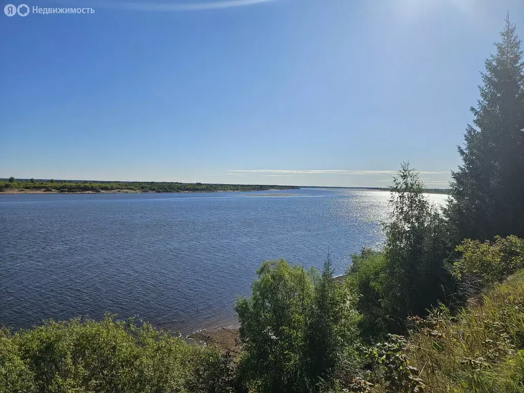 Участок в Архангельская область, Котласский муниципальный округ, ... - Фото 1