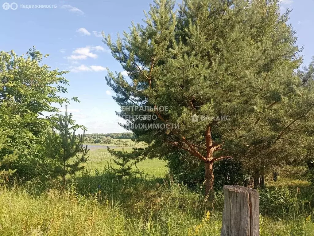Участок в Батуринское сельское поселение, село Ильинское (15 м) - Фото 1