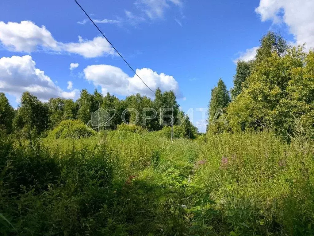 Участок в Тюменская область, Нижнетавдинский район, Сочинские СНТ  ... - Фото 1