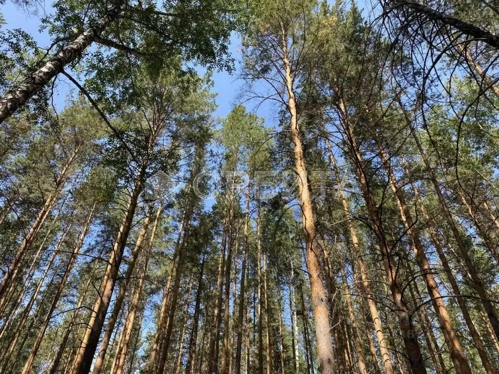 Участок в Свердловская область, Ревда муниципальный округ, пос. ... - Фото 1