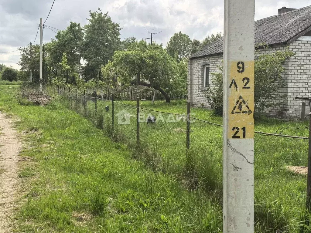 Участок в Калининградская область, Зеленоградский муниципальный округ, ... - Фото 1