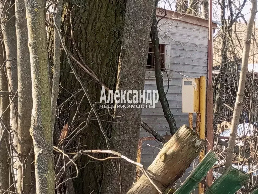 Участок в Санкт-Петербург пос. Александровская, ш. Волхонское, 55 ... - Фото 1