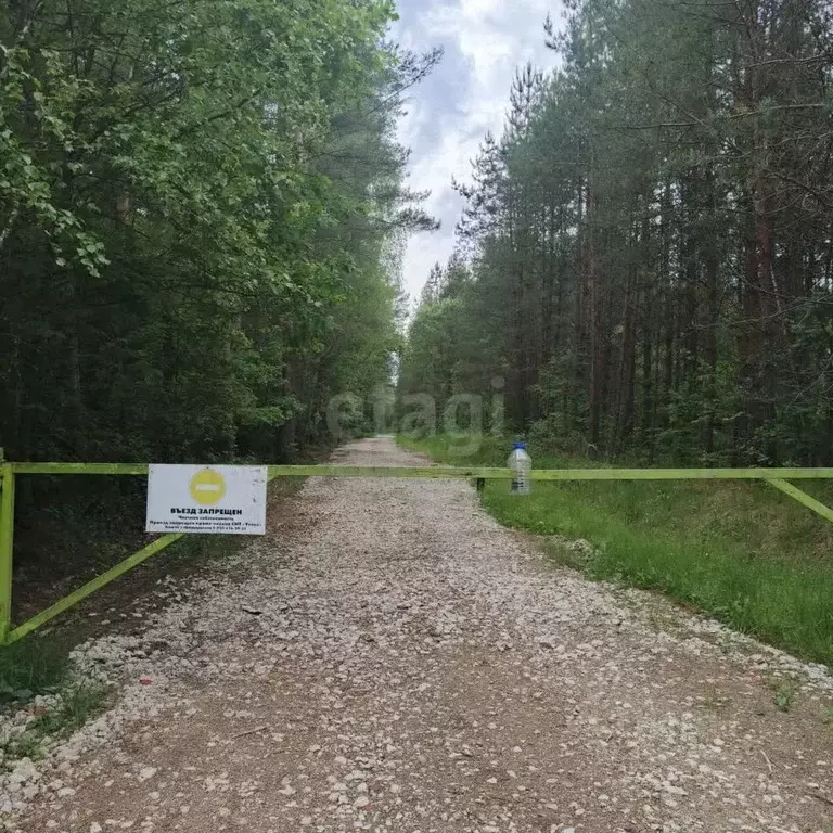 Участок в Калужская область, Перемышльский район, Большие Козлы с/пос, ... - Фото 0