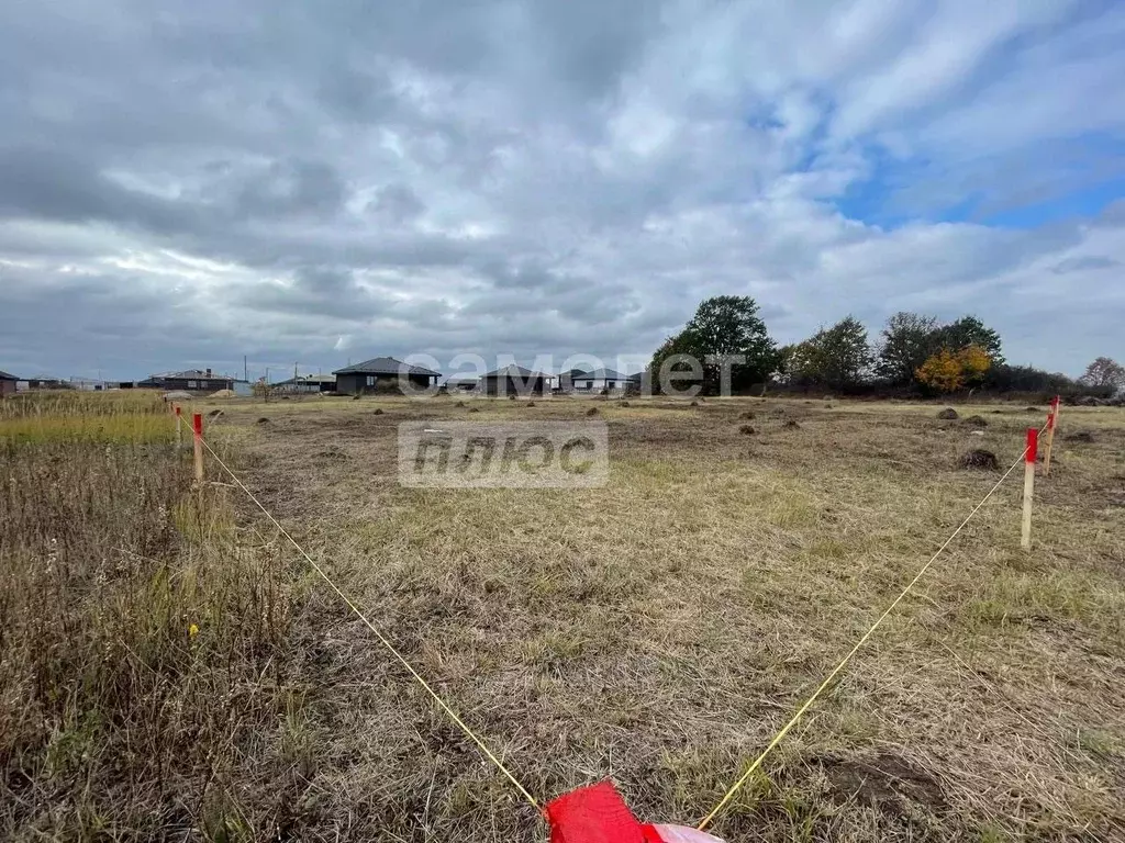 Участок в Рязанская область, Рязанский муниципальный округ, д. Дубняки ... - Фото 2