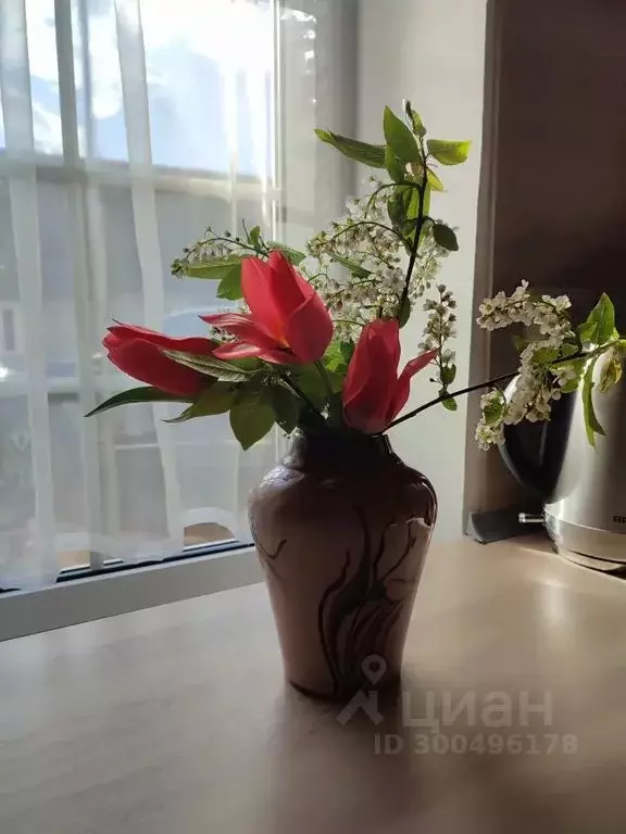 Дом в Псковская область, Печоры ул. Свободы, 18 (45 м) - Фото 1