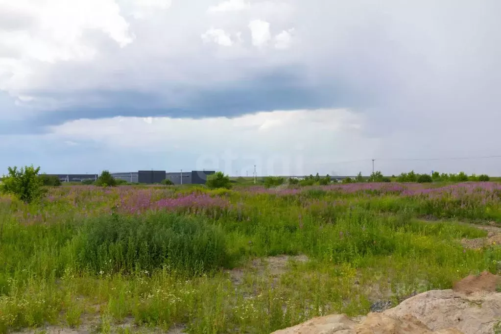 Участок в Тюменская область, Тюмень  (30.0 сот.) - Фото 0