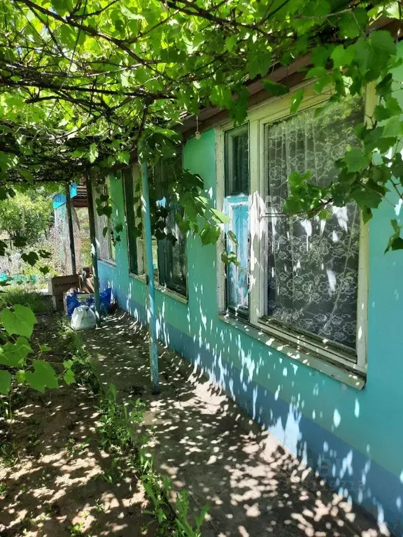 Дом в Волгоградская область, Волгоград Дзержинец СНТ,  (38 м) - Фото 1