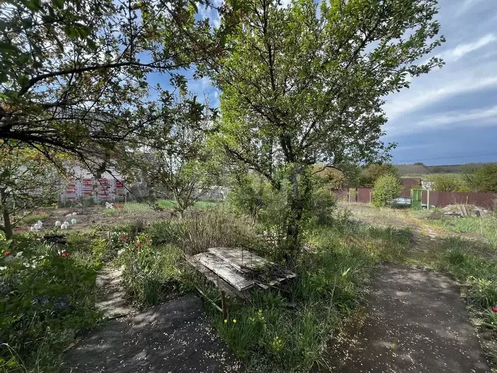 Участок 10 сот. (СНТ, ДНП) - Фото 0