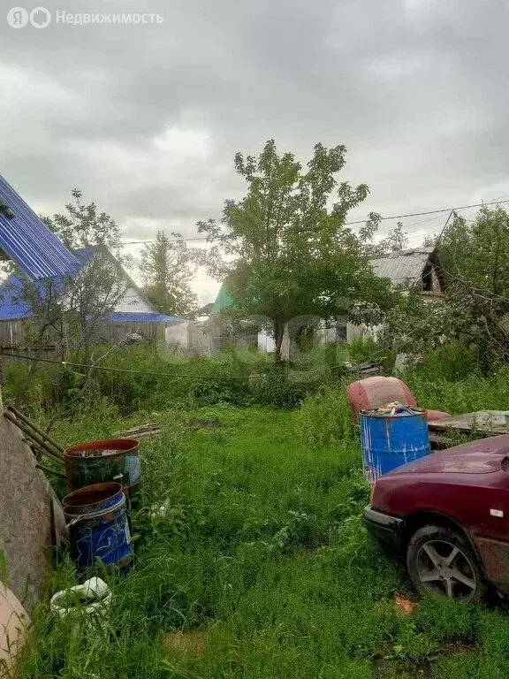 Участок в Курган, СНТ Пенсионер (8 м) - Фото 2