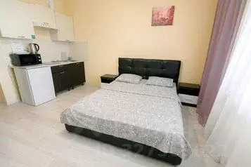 1-к кв. Калужская область, Обнинск ул. Курчатова, 27/2 (30.0 м) - Фото 1