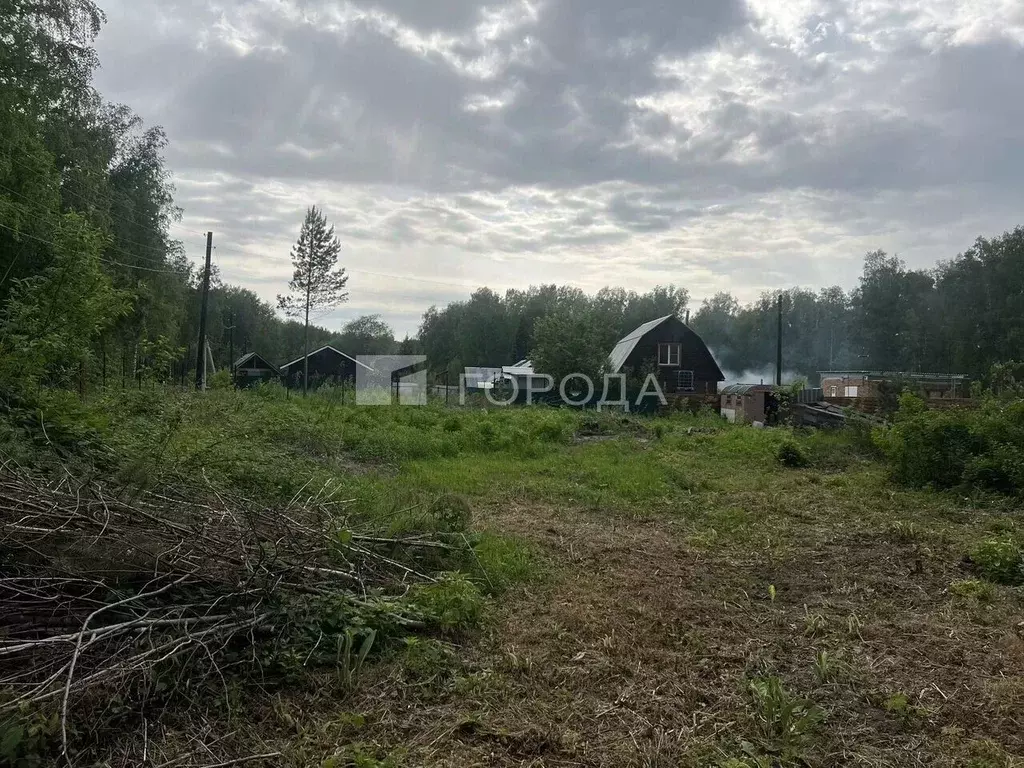 Участок в Новосибирская область, Искитимский район, Морозовский ... - Фото 0