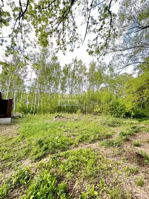 Участок в Рязанская область, Рязанский муниципальный округ, пос. ... - Фото 2