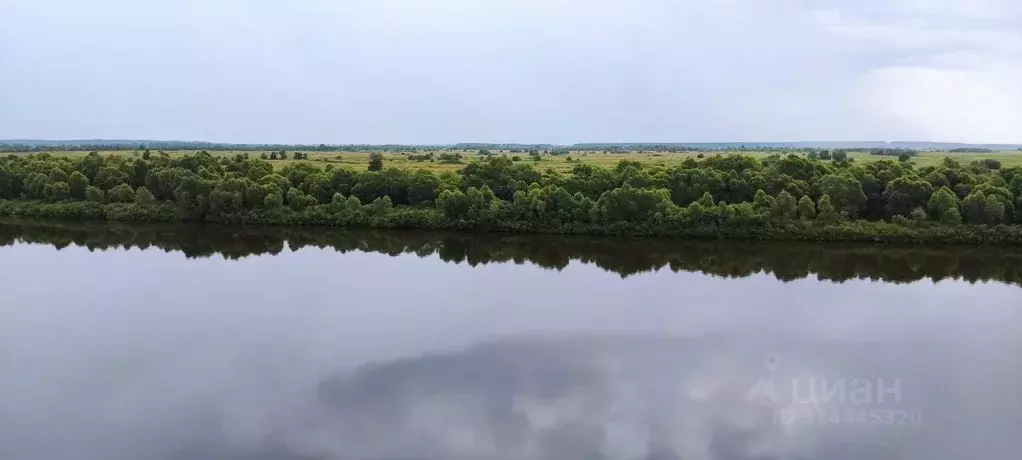 Участок в Рязанская область, Спасский район, Троицкое с/пос, с. Троица ... - Фото 0