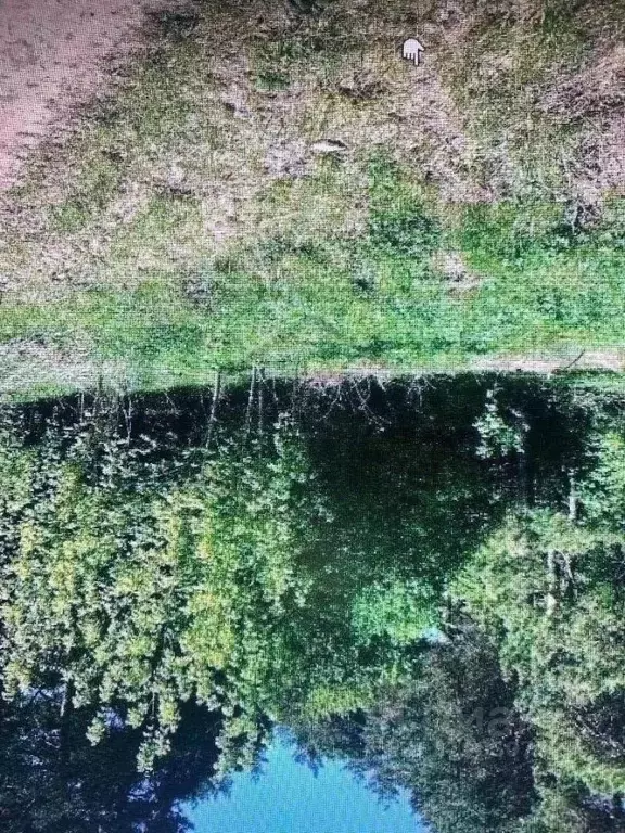 Участок в Калужская область, Ферзиковский район, Авчурино с/пос, с. ... - Фото 2