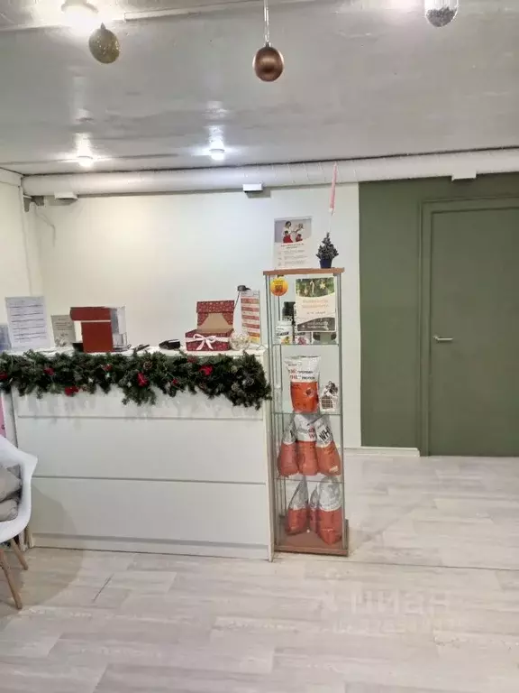 Помещение свободного назначения в Санкт-Петербург Школьная ул., 8 (186 ... - Фото 2