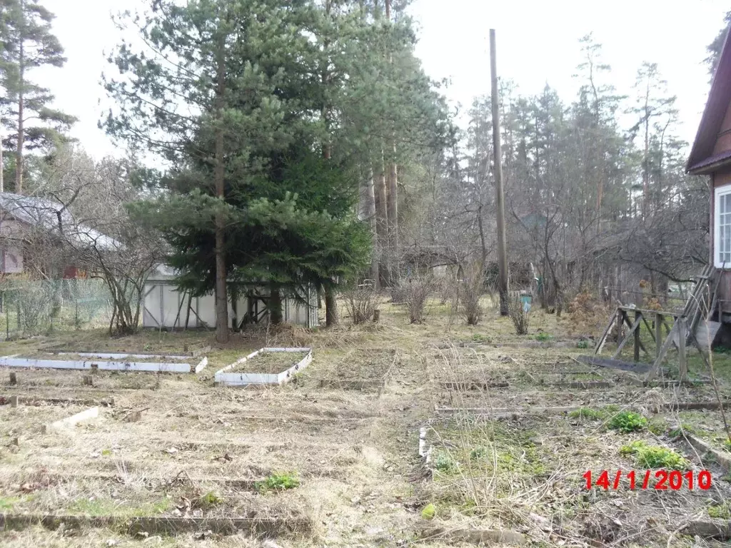Участок в Ленинградская область, Всеволожск Константиновская ул., 28/1 ... - Фото 1