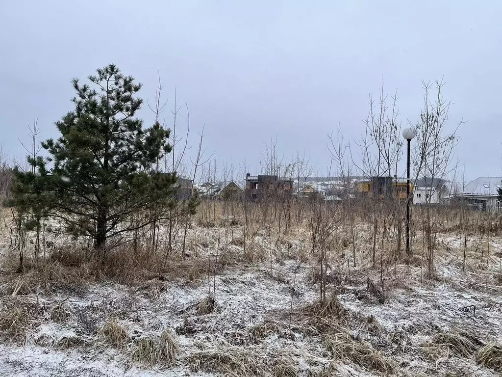 Участок в Московская область, Серпухов городской округ, Берег Нары ДНП ... - Фото 2