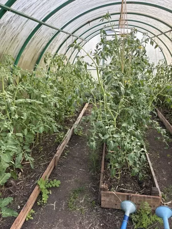 Дом в Татарстан, Нижнекамский район, Каенлинское с/пос, д. Малые ... - Фото 1