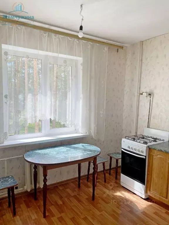 1-к кв. Ульяновская область, Димитровград Братская ул., 17 (34.6 м) - Фото 0