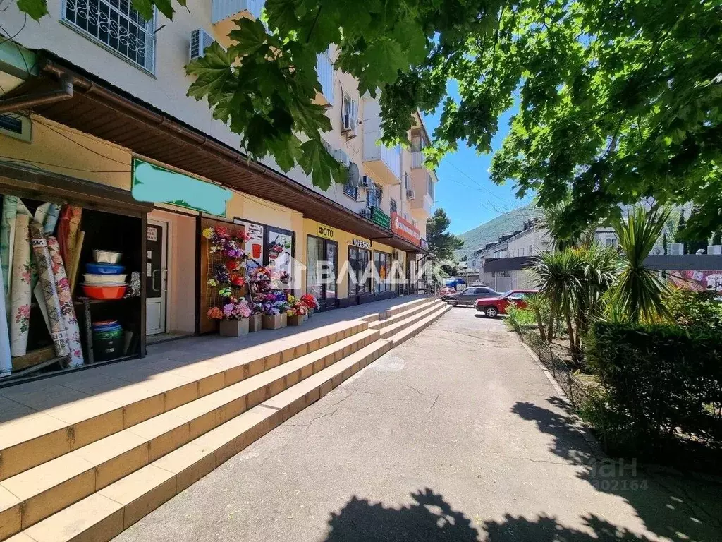 Помещение свободного назначения в Крым, Алушта муниципальный округ, ... - Фото 2