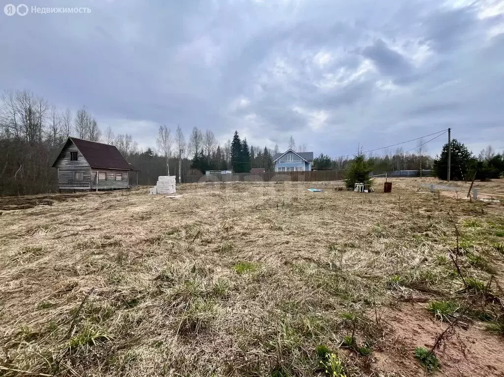 Участок в Будогощское городское поселение, деревня Рахово (12 м) - Фото 2