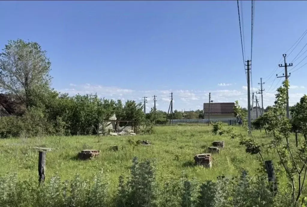 Участок в Саратовская область, Воскресенский район, Елшанское ... - Фото 0