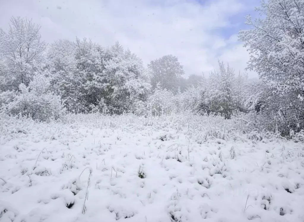 Участок в Камчатский край, Елизовский муниципальный округ, Звездочка ... - Фото 2