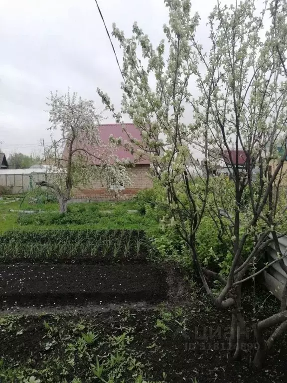 Дом в Челябинская область, Чебаркуль Металлург-2 СНТ, 53 (20 м) - Фото 0