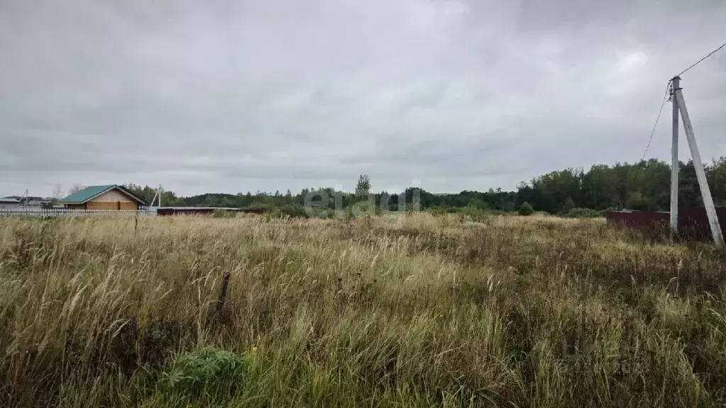 Участок в Нижегородская область, Богородский район, д. Инютино ул. ... - Фото 0