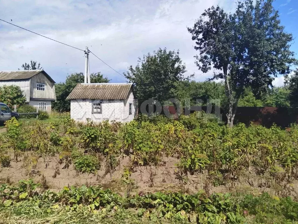 Дом в Брянская область, Брянск  (12 м) - Фото 2