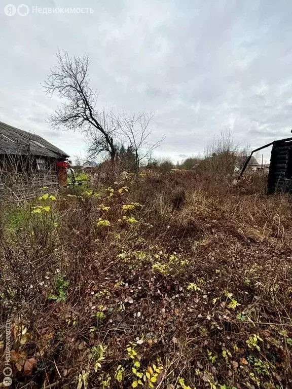 Участок в деревня Сажино, Центральная улица, 29 (18.33 м) - Фото 2