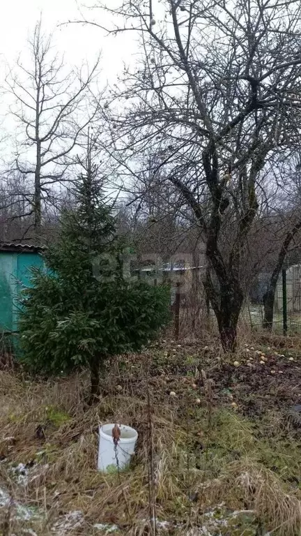 Дом в Калужская область, Калуга городской округ, Лесовод-2 СНТ  (40 м) - Фото 2