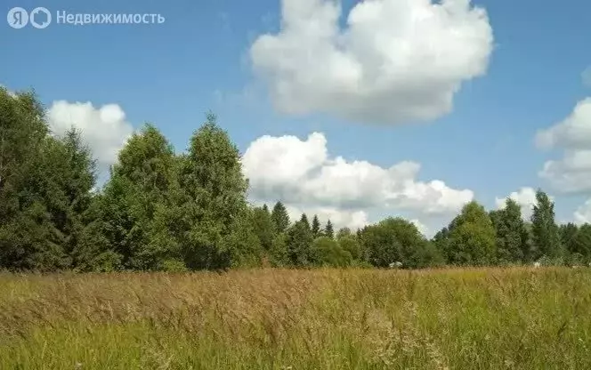 Участок в Вологодский муниципальный округ, деревня Лучниково (16 м) - Фото 2