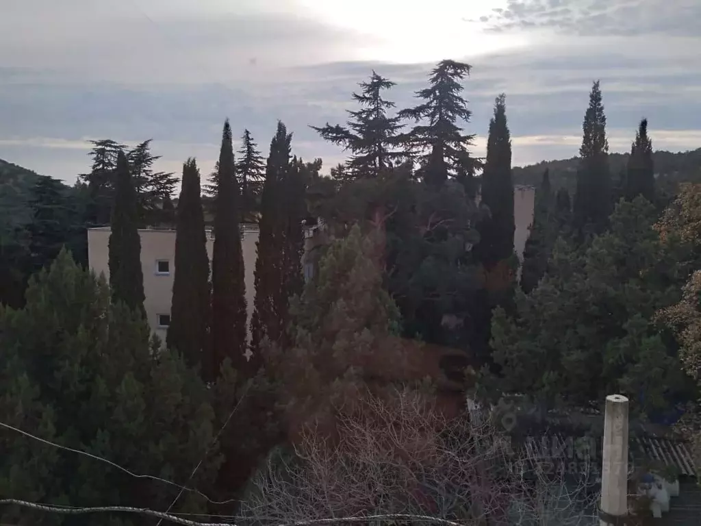 2-к кв. Крым, Судак муниципальный округ, Новый Свет пгт ул. Льва ... - Фото 1