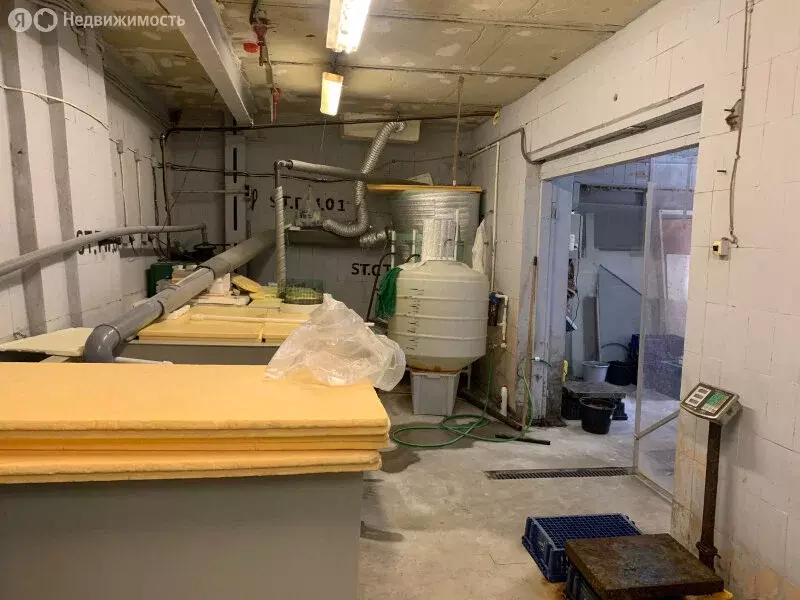 Производственное помещение (155.7 м) - Фото 2