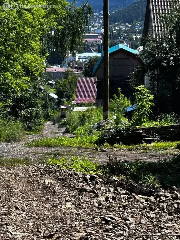 Участок в Горно-Алтайск, СНТ Садовод (618 м) - Фото 0