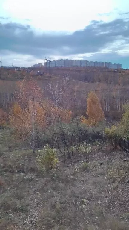 Участок в Солонцовский сельсовет, садоводческое некоммерческое ... - Фото 0