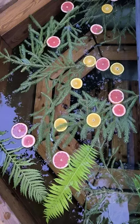 Дом в Московская область, Солнечногорск городской округ, Тебеньки СЭМЗ ... - Фото 2