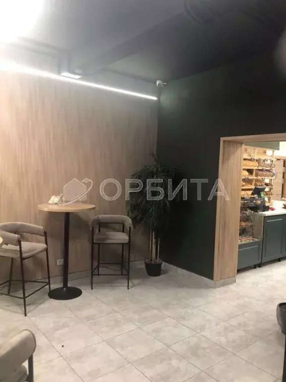 Помещение свободного назначения в Тюменская область, Тюмень ул. ... - Фото 1