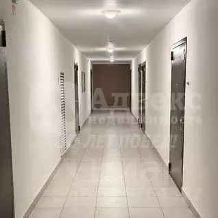 Студия Тюменская область, Тюмень ул. Новоселов, 113 (20.0 м) - Фото 0