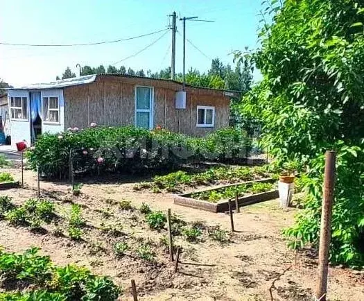 Участок в Новосибирская область, Обь ул. Южная (7.0 сот.) - Фото 0