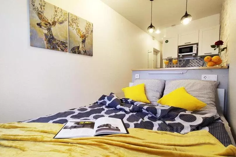 1-к кв. Москва Долгопрудненское ш., 6А (18.0 м) - Фото 2