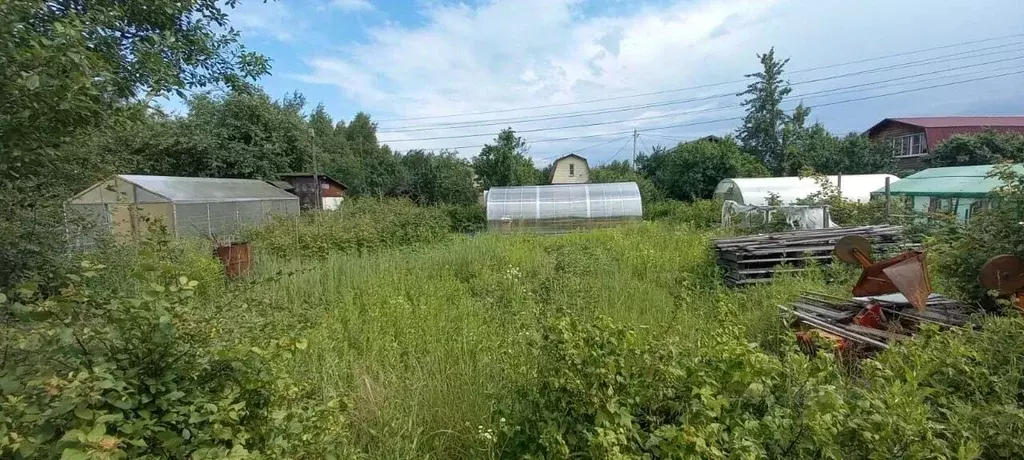 Участок в Владимирская область, Владимир сад Рабочий, 37 (2.4 сот.) - Фото 0