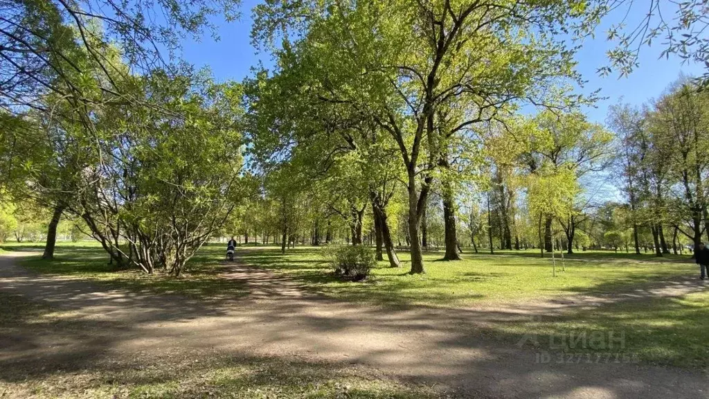 1-к кв. Санкт-Петербург Коломяжский просп., 9к2 (40.0 м) - Фото 2