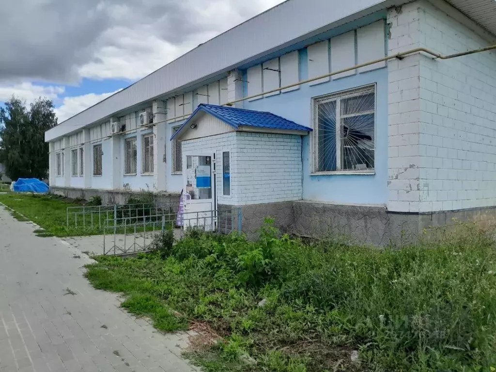 Помещение свободного назначения в Нижегородская область, с. Вад ул. 1 ... - Фото 1