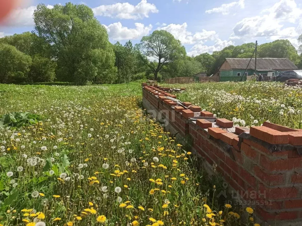 Участок в Калужская область, Село Бабынино с/пос, д. Матюково ... - Фото 2