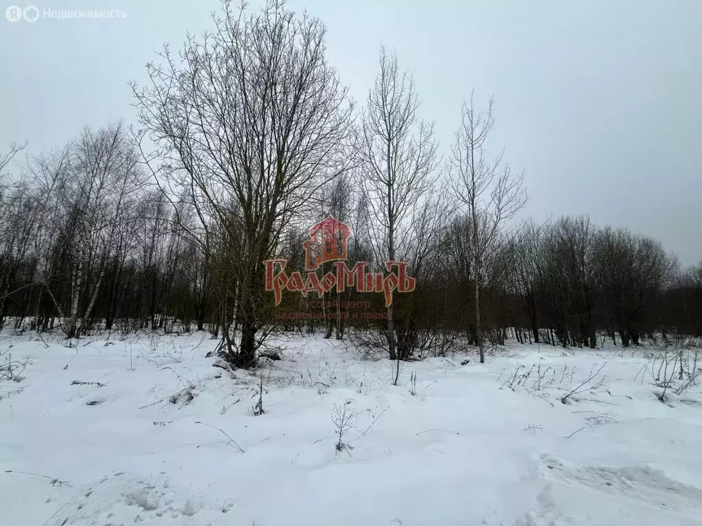 Участок в Сергиев Посад, Советская улица (10 м) - Фото 1