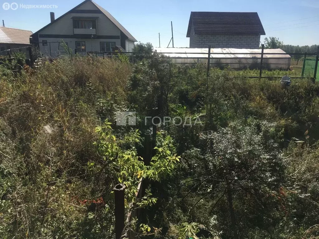 Участок в Новосибирский район, Ярковский сельсовет, садовые участки ... - Фото 1